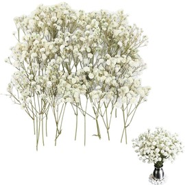 AYZDJ 100 Pcs Dried Pressed Flowers - Natural Baby's Breath Mini Real Flowers for Crafts, Resin Art, DIY Epoxy, Wedding Cards, Vase Fillers & Home Decor