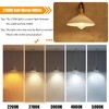 winsaLED 12 Pack 100 Watt Equivalent LED Edison Bulbs, 9W