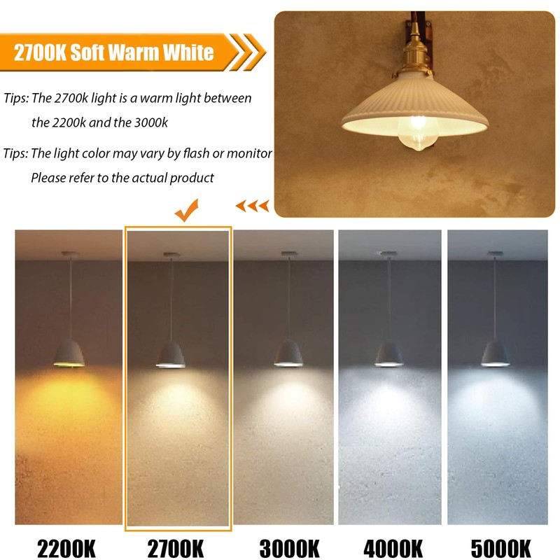winsaLED 12 Pack 100 Watt Equivalent LED Edison Bulbs, 9W
