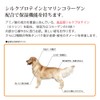 Pet – Cool silk & Collagen 300ml Refill