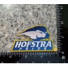 Hofstra Pride Vintage Style Logo Patch. Embroidered. Iron On. 3"x2"