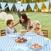2pcs Light Blue and White Checkered Disposable Tablecloth Table Covers,137