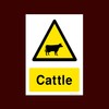 Cattle Plastic Sign - Warning, Farm, Dogs, Agriculture, Cattle, Sheep,