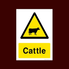 Cattle Plastic Sign - Warning, Farm, Dogs, Agriculture, Cattle, Sheep, Bull - (CA5)