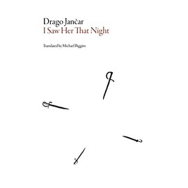 I Saw Her That Night