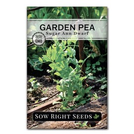 Sow Right Seeds - Sugar Ann Dwarf Pea Seeds for Planting - Non-GMO Heirloom Packet with Instructions to Plant an Outdoor Home Vegetable Garden - Short Bushes with a Crisp Snap - Spring and Fall (1)