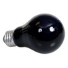 Zoo Med Moonlight Reptile Bulb