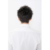 Lucan Ano the Rme Men's Wig, Cool Short, FW-M03-BL, Natural