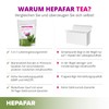 Hepafar Liver Cleanse tea x60 tea bags