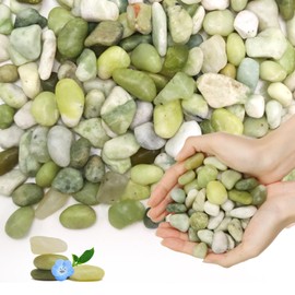 Lechloris 10LB Natural Polished Jade Pebbles River Rocks Decorative Stones, Ideal for Indoor Plants,Fish Tank, Vases, Succulents, Home Decor and Outdoor Garden Landscaping, Small Jade