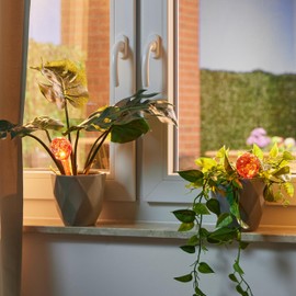 Relaxdays Set of 4 Glass Watering Globes, H x D: 15 x 6 cm, Watering Balls for Plants, Holiday Watering Aid Red