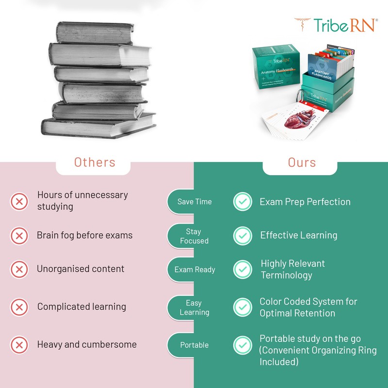 TribeRN Anatomy and Physiology Flash Cards – 320 Study Resources