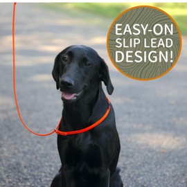 DogBone Pocket Slip Lead (Blaze Orange) | Dog Leash Slip Lead | Dog Leash | Dog Collar and Leash Set | Dog Training Slip Lead | Dog Lead Leash | Waterproof Dog Leash