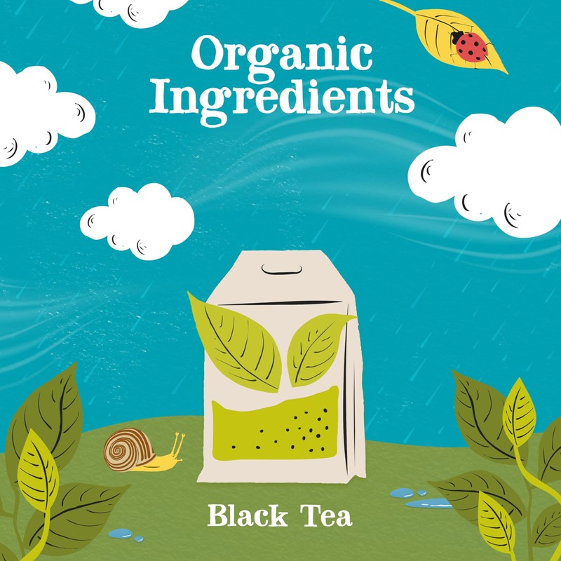Clipper Tea, Organic Fairtrade Everyday, Organic, USDA Non-GMO, Fair Trade,