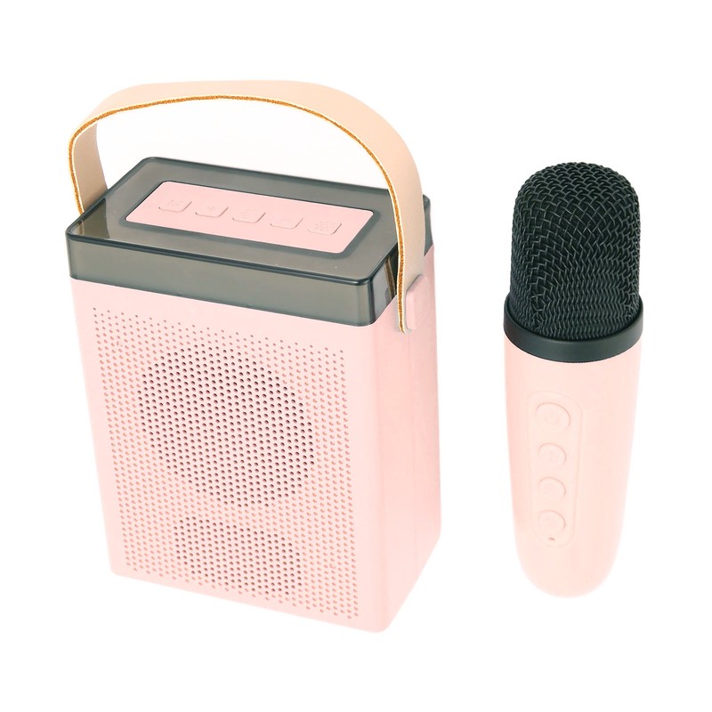 Karaoke Machine Set with RGB Light Rechargeable Bluetooth Speaker with