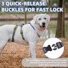 PUPTECK Escape Proof Dog Harness - No Pull Soft Padded