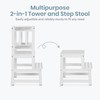Dream On Me 2-in-1 Funtastic Tower and Step Stool, Toddler