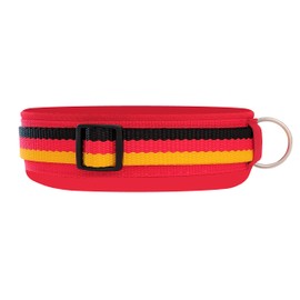 BUDDYPACK Exclusive Dog Collar Extra Wide and Soft with Neoprene Padding Size XXS-3XL Adjustable (L (50-55 cm), Germany on Red
