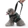 Cat Vest Harnesses Leash Adjustable Breathable Stylish Multifunctional Pet Walking