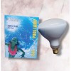 Halco 400W Flood Pool Lamp Brass Base E26 120V R40