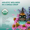 USDA Organic Lymphatic Drainage Supplement - Echinacea | Elderberry |