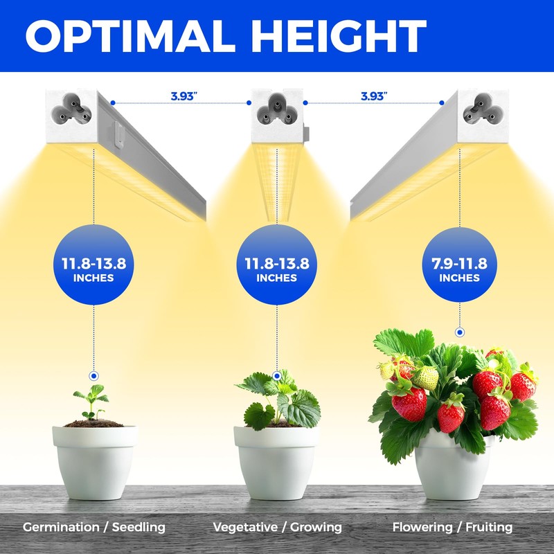 Barrina Grow Lights for Indoor Plants, Full Spectrum Sunlight, 1ft
