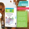FLX 123 - Vitamin C, Turmeric, Glucosamine, Ginseng, Rosehip, Ginger