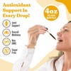 Active Turmeric - Advanced Liquid Supplement - Curcuma Longa Extract
