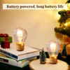 Aurelema 4.4 x 2.7 Inch Large Rechargeable USB Light Bulb