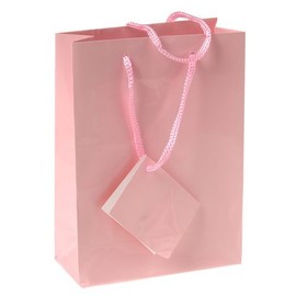 Small Pink Gift Bags With Attached Tags And Handles (12)