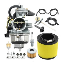 Anxingo 16100-HM8-B01 Carburetor Kit, Replacement for Honda TRX 250 Recon250 TRX250TM TRX250TE ATV Carburetor, Replaces 17254-HM8-000 16950-HN7-003