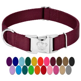 Country Brook Petz Premium Nylon Dog Collar with Metal Buckle for Small Medium Large Breeds - Vibrant 30+ Color Selection (Medium, 3/4 Inch, Burgundy)
