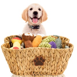 FairyHaus Wicker Dog Toy Basket for Organizing 1Pack, Large Bone Shape Dog Toy Bin with Dog Paw Decor, Natural Water Hyacinth Dog Toy Box Organizer for Pet Chew Toys Blanket Treats