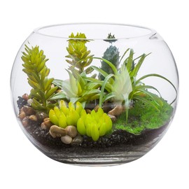 Restaurantware 7 x 5.5 Inch Faux Succulent 1 Realistic Artificial Succulent - In Fishbowl Glass Terrarium Use As Table Decor Shelf Decor Or Centerpiece Plastic Fake Desk Plant For Homes Or Weddings