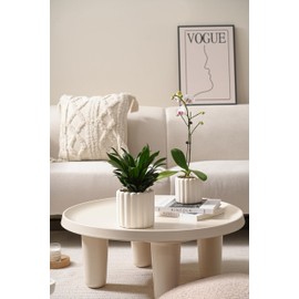 FUYHE Vertical Striped Ribbed Ceramic Plant Pots,White Ceramic Planters for Indoor or Outdoor Plants- 6" and 4.7",White Round Flower Pot with Cone Mesh,Ceramic Pots with Drainage Holes,Set of 2