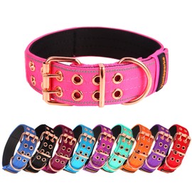 Yunleparks Heavy Duty Dog Collar Tactical Dog Collar with Neoprene Padded,Metal Buckle Dog Collar Reflective Nylon Collar for Medium Large Dog's Walking (Pink, Medium)