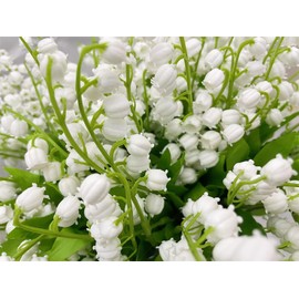 LebriTamFa Artificial Lily of The Valley Flowers Arrangement Bundle for Wedding Bouquet Home Decor Garden Decoration White Wedding Artificial Flowers (White, 6)