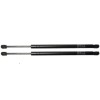 Solar Storm Tanning Bed Gas Springs/Shocks - 460N
