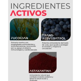 Potente Antioxidante 3 En 1 Resveratrol Astaxantina Fucoidan Apoyo A Piel Vista Msculo Y Recuperacin General 60 Capsulas Vegano Sin Gluten Hombre...  