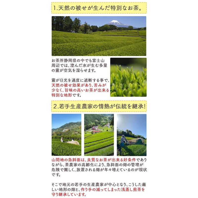 Honjien Tea Japanese Tea Bag, Green Tea from Shizuoka Prefecture,