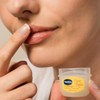 Vaseline Lip Therapy Advanced Healing, Creme Brulee, 0.25 oz, Pack