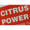 Ohio Trading 2 Pack of Citrus Power Industrial Strength All