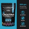 Creatina Monohidratada de Alta Pureza en Polvo | Sin Sabor