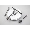 Cambridge Silversmiths Poet Black Satin 20-Piece Flatware Set, Service for
