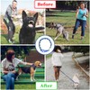 1TO3GO Dog Training Collar with 4 Extra Links for Medium,