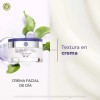 Crema Facial Dia Ácido Hialurónico Yves Rocher Filler Vegetal