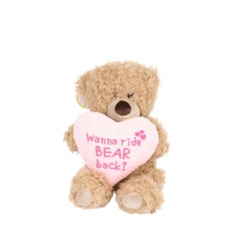 Cheeky Plush Teddy Bear 20cm – Hilarious Valentine's or B'day Gift! Soft Cuddly Bear Holding Heart or Star with Rude Sassy Message – Funny Gift for Boyfriend Girlfriend or Bestie (Bear Back)
