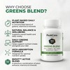 PeakCore Labs® Greens Blend | Premium BioVit® Formula | 100%