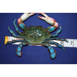 Tropical Coral Reef Sea Life Wall Hangings Crab Shack Crab Decor, Realistic Three Dimensional, 6 inches, Set of 4