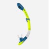 Aqualung Unisex - Adult Gobi Dry Snorkel Set, Yellow Petrol,